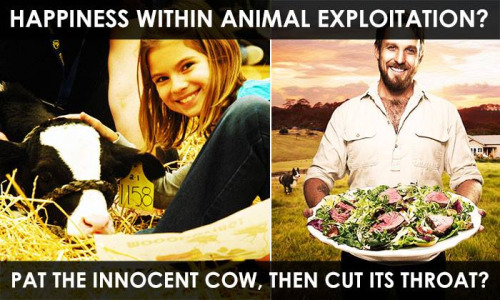 So, which is it?Care for the innocent exploited animal, or cut... 10