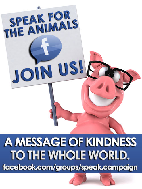 To the Vegan and Animal Rights Legion;As a joint effort by...