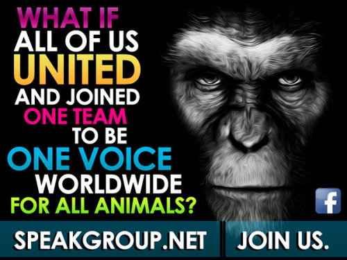 One Voice. Unity. Worldwide Campaign Group. Mass Online Social...