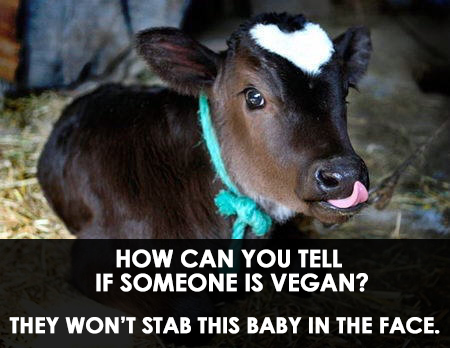 How can you tell if someone is Vegan? They won’t stab this... 26