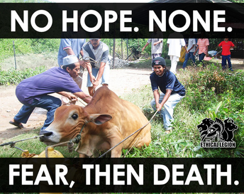 No Hope. None.Fear, Then Death.You can stop this. Please, Live... 4