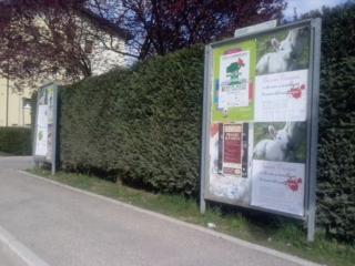 affissione_manifesti_agnelli_cles_20140414_1228828296 CLES (TN) - AFFISSIONE MANIFESTI BUONA PASQUA SENZA CRUDELTA' 2014 affissione manifesti agnelli cles 20140414 1228828296