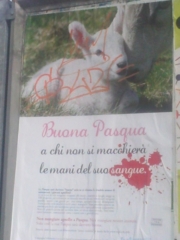 affissione_manifesti_agnelli_cles_20140414_1977183595 CLES (TN) - AFFISSIONE MANIFESTI BUONA PASQUA SENZA CRUDELTA' 2014 affissione manifesti agnelli cles 20140414 1977183595