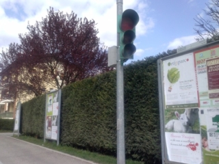 affissione_manifesti_agnelli_cles_20140414_2052634686 CLES (TN) - AFFISSIONE MANIFESTI BUONA PASQUA SENZA CRUDELTA' 2014 affissione manifesti agnelli cles 20140414 2052634686