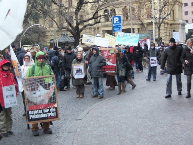 Bolzano 04.02.2012 manifestazione contro lo sfruttamento degli animali bolzano 04021012 20120205 1772418875