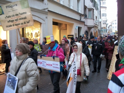 Bolzano 04.02.2012 manifestazione contro lo sfruttamento degli animali bolzano 04021012 20120205 1784311573