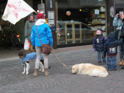 Bolzano 04.02.2012 manifestazione contro lo sfruttamento degli animali bolzano 0402 20130212 1744663147