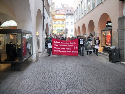 Bolzano 04.02.2012 manifestazione contro lo sfruttamento degli animali bolzano 0402 20130212 1891138088