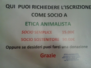 CENA VEGAN TASSULLO - 30.11.2013 cena vegan tassullo 20131201 1281861077