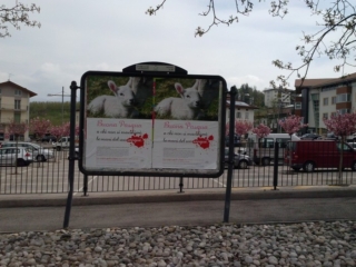 cles_2014_buona_pasqua_20140412_1104625316 CLES (TN) - AFFISSIONE MANIFESTI BUONA PASQUA SENZA CRUDELTA' 2014 cles 2014 buona pasqua 20140412 1104625316