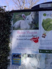 cles_2014_buona_pasqua_20140412_1464608152 CLES (TN) - AFFISSIONE MANIFESTI BUONA PASQUA SENZA CRUDELTA' 2014 cles 2014 buona pasqua 20140412 1464608152