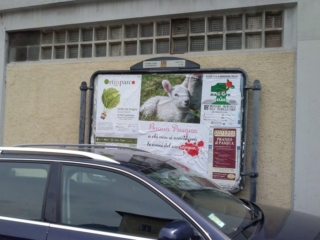 cles_2014_buona_pasqua_20140412_1604478227 CLES (TN) - AFFISSIONE MANIFESTI BUONA PASQUA SENZA CRUDELTA' 2014 cles 2014 buona pasqua 20140412 1604478227