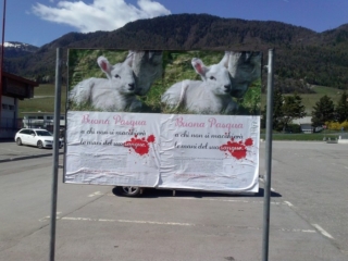 cles_2014_buona_pasqua_20140412_1704401518 CLES (TN) - AFFISSIONE MANIFESTI BUONA PASQUA SENZA CRUDELTA' 2014 cles 2014 buona pasqua 20140412 1704401518
