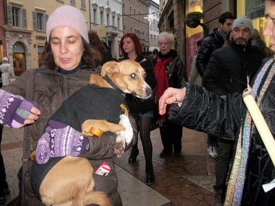 03 dicembre 2011 Trento fiaccolata per denunciare lo sterminio degli animali nel periodo natalizio (e non solo!) fiaccolata per gli ani 20130212 1026073860