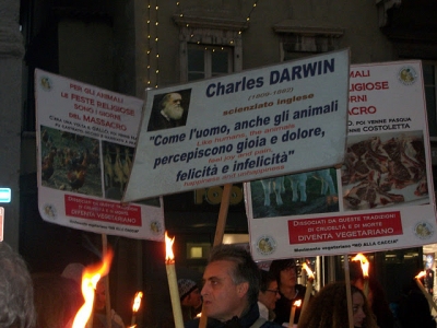 03 dicembre 2011 Trento fiaccolata per denunciare lo sterminio degli animali nel periodo natalizio (e non solo!) 43