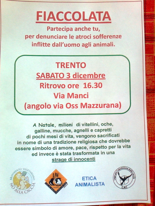 03 dicembre 2011 Trento fiaccolata per denunciare lo sterminio degli animali nel periodo natalizio (e non solo!) fiaccolata per gli ani 20130212 1660720514