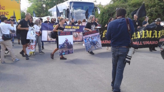 Manifestazione contro il Palio di Siena - 16.08.2015 immagini e video 2015 465 1024x576