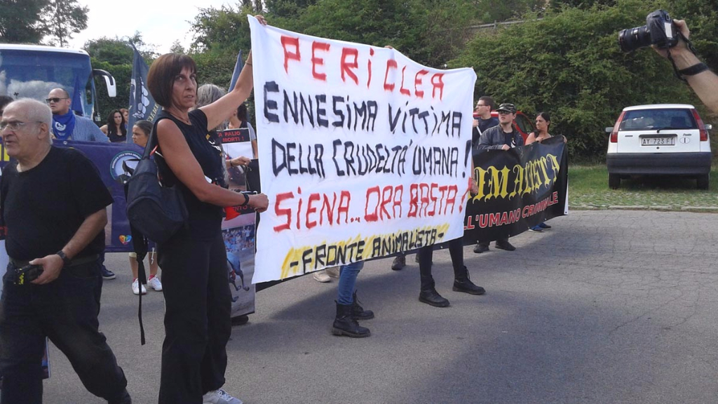 Manifestazione contro il Palio di Siena - 16.08.2015 immagini e video 2015 467