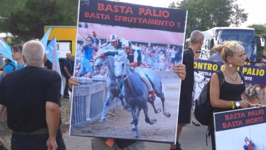 Manifestazione contro il Palio di Siena - 16.08.2015 immagini e video 2015 468 1024x576