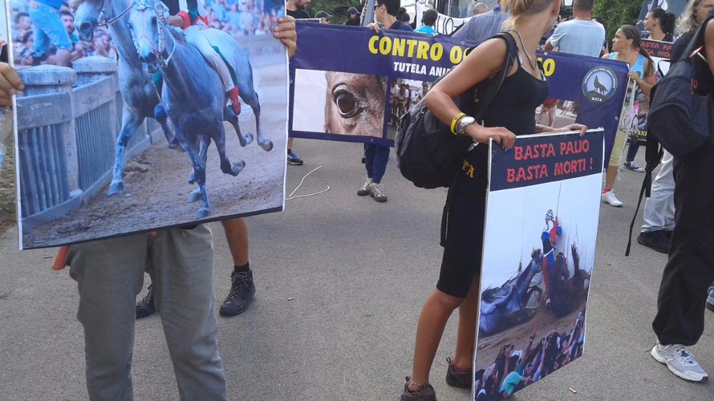Manifestazione contro il Palio di Siena - 16.08.2015 immagini e video 2015 469