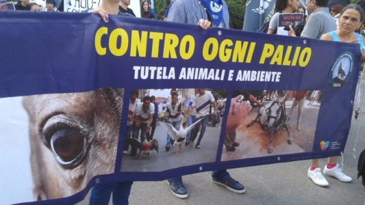 Manifestazione contro il Palio di Siena - 16.08.2015 immagini e video 2015 470 1024x576