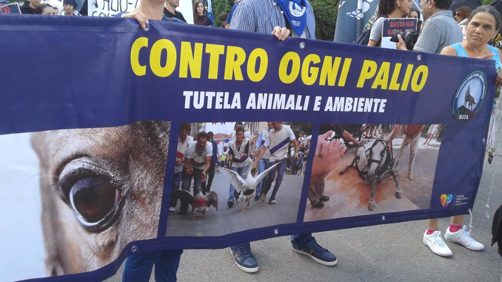 Manifestazione contro il Palio di Siena - 16.08.2015 immagini e video 2015 470