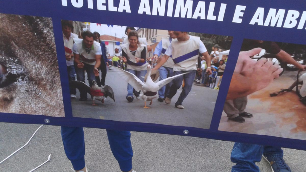 Manifestazione contro il Palio di Siena - 16.08.2015 immagini e video 2015 472