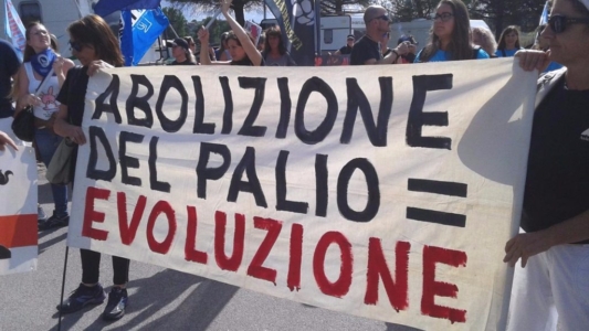 Manifestazione contro il Palio di Siena - 16.08.2015 immagini e video 2015 479 1024x576