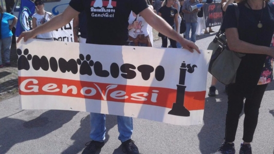 Manifestazione contro il Palio di Siena - 16.08.2015 immagini e video 2015 480 1024x576