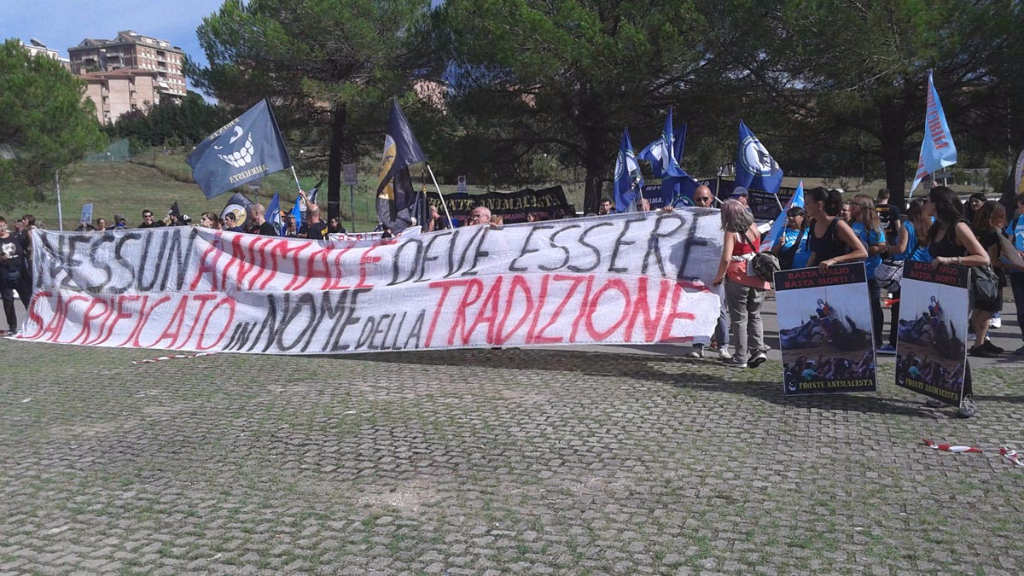 Manifestazione contro il Palio di Siena - 16.08.2015 immagini e video 2015 483