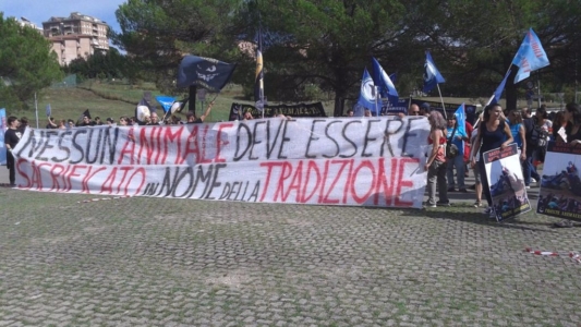 Manifestazione contro il Palio di Siena - 16.08.2015 immagini e video 2015 484 1024x576