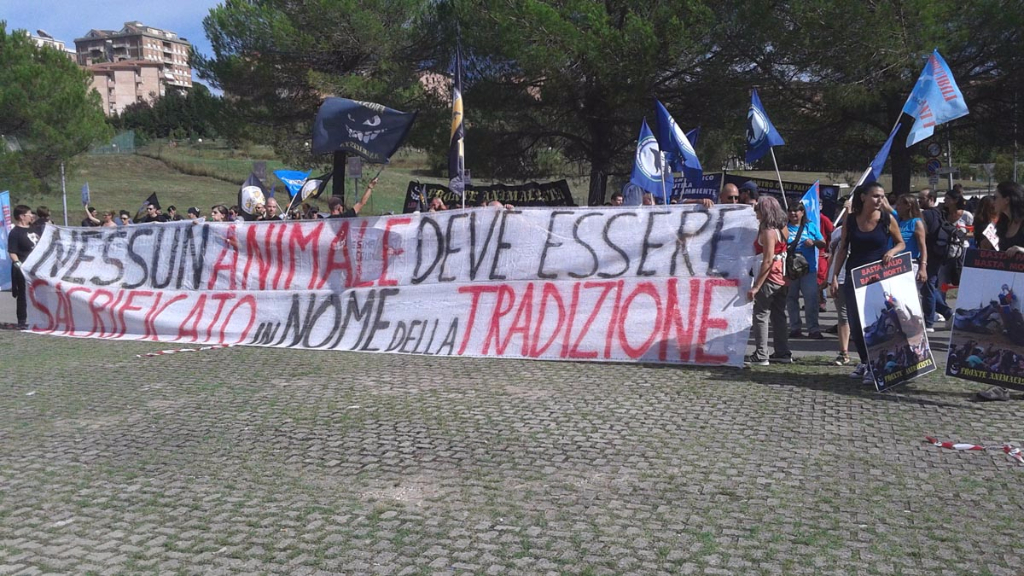 Manifestazione contro il Palio di Siena - 16.08.2015 immagini e video 2015 484