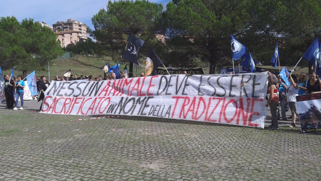Manifestazione contro il Palio di Siena - 16.08.2015 immagini e video 2015 485