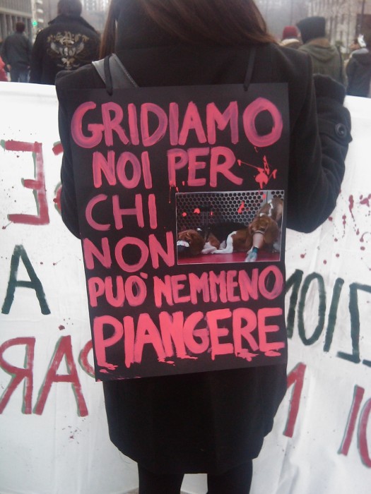 MANIFESTAZIONE CONTRO LA VIVISEZIONE - MILANO 5 marzo 2011 manifestazione contro la vivisezione milano 5 marzo 20130212 1095828236