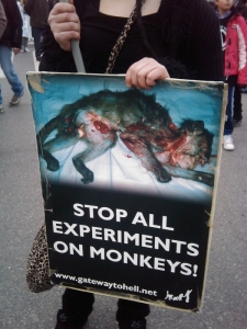 MANIFESTAZIONE CONTRO LA VIVISEZIONE - MILANO 5 marzo 2011 manifestazione contro la vivisezione milano 5 marzo 20130212 1310627116