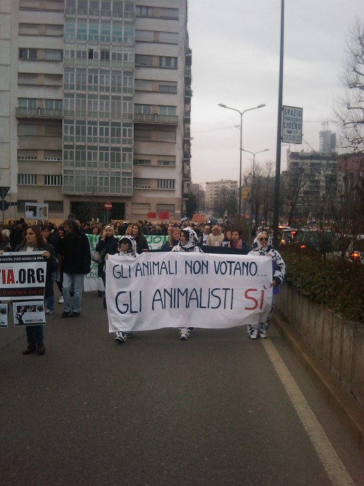 MANIFESTAZIONE CONTRO LA VIVISEZIONE - MILANO 5 marzo 2011 manifestazione contro la vivisezione milano 5 marzo 20130212 1431451204