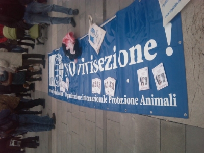 MANIFESTAZIONE CONTRO LA VIVISEZIONE - MILANO 5 marzo 2011 manifestazione contro la vivisezione milano 5 marzo 20130212 1593177692