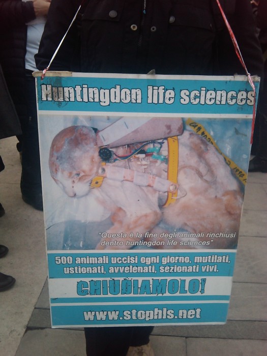MANIFESTAZIONE CONTRO LA VIVISEZIONE - MILANO 5 marzo 2011 manifestazione contro la vivisezione milano 5 marzo 20130212 1802801169