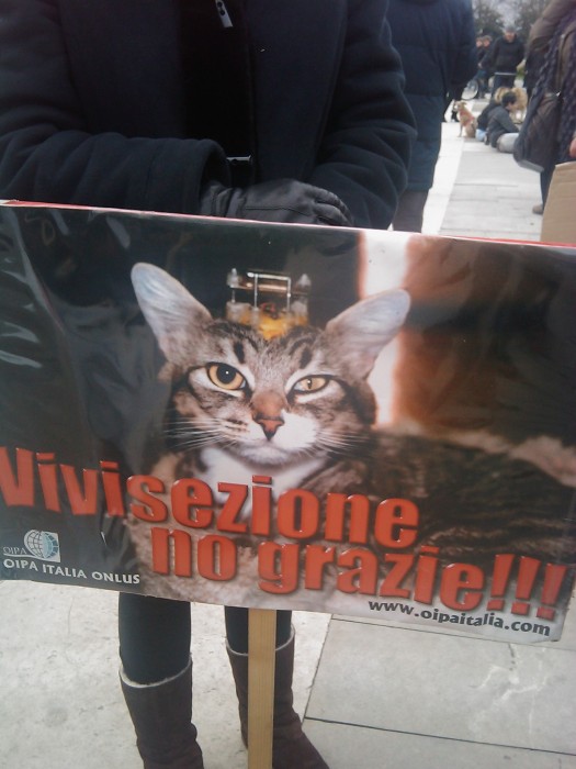 MANIFESTAZIONE CONTRO LA VIVISEZIONE - MILANO 5 marzo 2011 manifestazione contro la vivisezione milano 5 marzo 20130212 1860895233