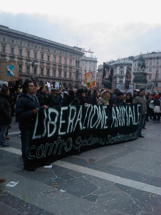 MANIFESTAZIONE CONTRO LA VIVISEZIONE - MILANO 5 marzo 2011 manifestazione contro la vivisezione milano 5 marzo 20130212 1896984081