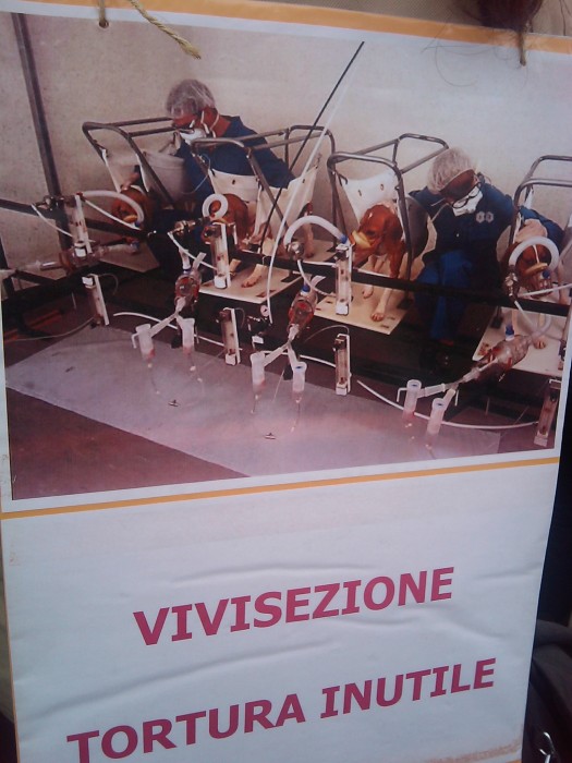 MANIFESTAZIONE CONTRO LA VIVISEZIONE - MILANO 5 marzo 2011 manifestazione contro la vivisezione milano 5 marzo 20130212 1963187416