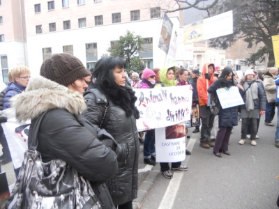 Bolzano 04.02.2012 manifestazione contro lo sfruttamento degli animali manifestazione contro lo sfruttamento degli anim 20130212 1252798461