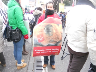 Bolzano 04.02.2012 manifestazione contro lo sfruttamento degli animali manifestazione contro lo sfruttamento degli anim 20130212 1348056069