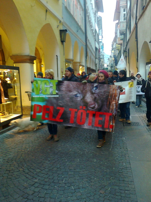 Bolzano 04.02.2012 manifestazione contro lo sfruttamento degli animali 182