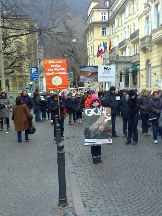 Bolzano 04.02.2012 manifestazione contro lo sfruttamento degli animali manifestazione contro lo sfruttamento degli anim 20130212 1514394956