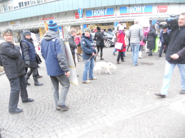 Bolzano 04.02.2012 manifestazione contro lo sfruttamento degli animali manifestazione contro lo sfruttamento degli anim 20130212 1622575759