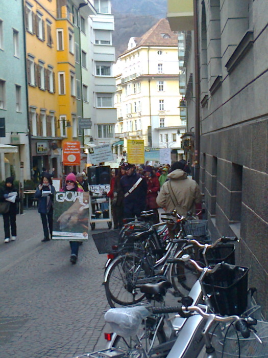 Bolzano 04.02.2012 manifestazione contro lo sfruttamento degli animali manifestazione contro lo sfruttamento degli anim 20130212 1791332699