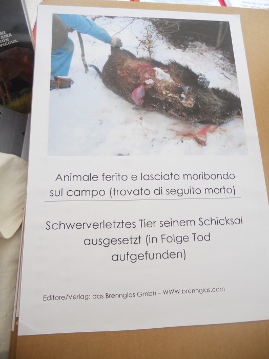 Bolzano 04.02.2012 manifestazione contro lo sfruttamento degli animali manifestazione contro lo sfruttamento degli anim 20130212 2054289609