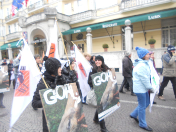 Bolzano 04.02.2012 manifestazione contro lo sfruttamento degli animali manifestazione contro lo sfruttamento degli anim 20130212 2072576342