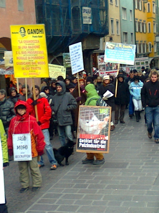 Bolzano 04.02.2012 manifestazione contro lo sfruttamento degli animali manifestazione contro lo sfruttamento degli anim 20130212 2087797995